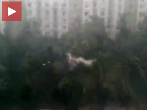 Пољски куршлус