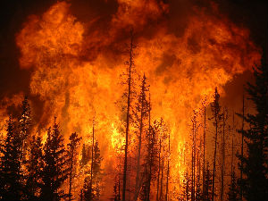 Патагонију погодио велики пожар