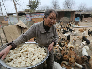 Сваки дан нахрани 1.300 паса! 