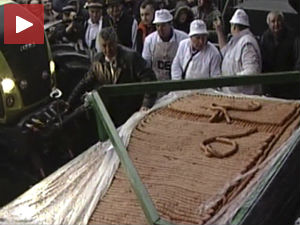 Најдужу кобасицу на свету направили у Турији!