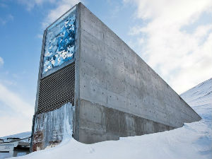 Трезор судњег дана чува непроцењиво богатство
