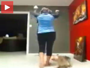 Пас и гимнастика