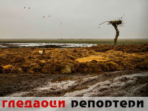 Гледаоци репортери (5. март 2015)