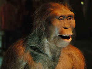 Откривен најстарији фосил човековог претка