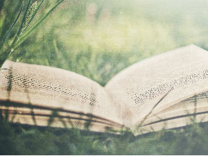 Културни кругови: Гутенбергов одговор