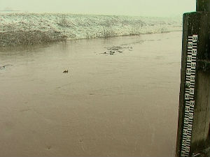 Лозничани у припавности