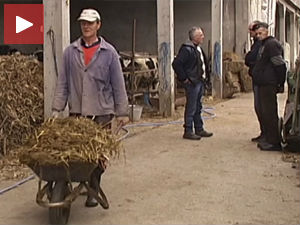 Премије добродошле пољопривредницима