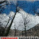 Гледаоци репортери (7. март 2015)
