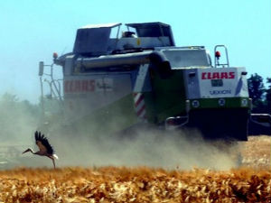 Позив за приватизацију ПКБ-а половином године
