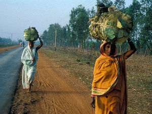 УН: Ниједна земља није достигла родну равноправност