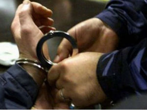 Алексинац, ухапшени пљачкаши месаре