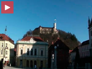 Две деценије Савеза српских друштава Словеније