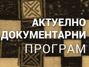 Михајло Пупин: Пут ка светлости