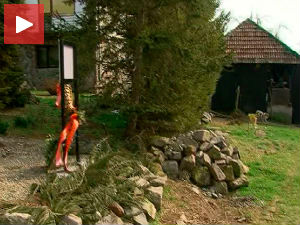 Први захтев за рехабилитацију једног комунисте