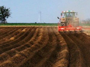 Мрежа за реституцију подржава предлог Заштитника грађана