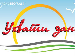 Ухвати дан