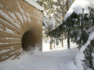 Чудан отвор усред шуме