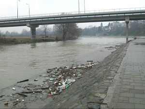 Четврт века постојања еколошког покрета "Ибар"  