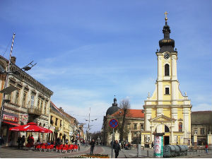 Холандско-српска фирма улаже у саднице воћа