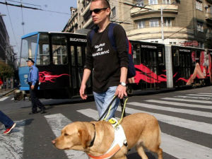 Живот особа са инвалидитетом између закона и праксе