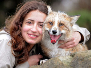 Упознајте лисца који мисли да је пас