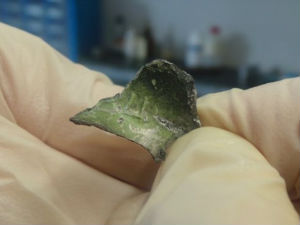 Холандија: Спорни докази да јe авион оборен БУК ракетом