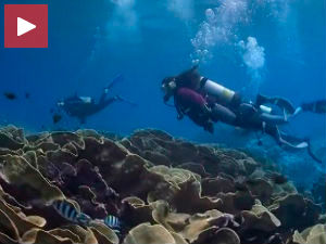 Завршен Фестивал подводног филма