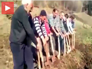 Аграрна реформа