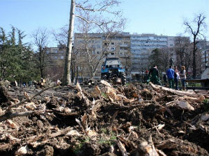 Завод: Време за замену стабала у Студентском парку