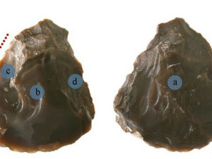 Пронађен праисторијски „швајцарски нож“