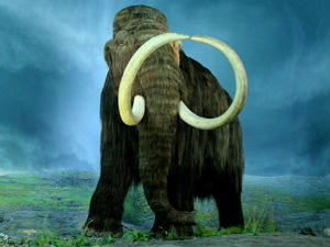 Научници убацили ДНК мамута у ћелије слона