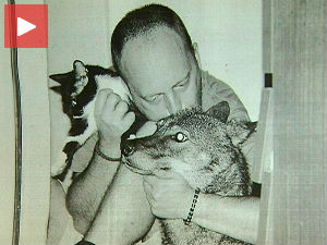 Крагујевчанин држао вучицу на осмом спрату?! 