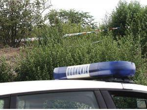 Разбојник убијен током пљачке