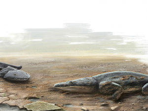 Откривена непозната врста џиновског даждевњака