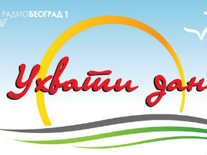 Ухвати дан