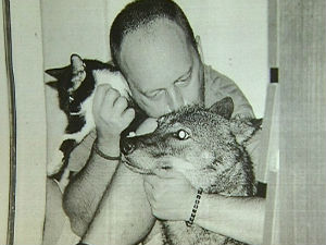 Да му је не би одузели, пустио вучицу у шуму!