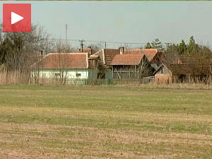 Сеоска идила уместо градске вреве