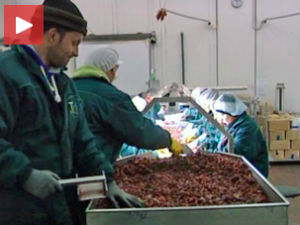 Подршка воћарима