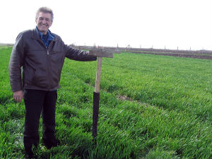 И птице грабљивице могу бити од користи