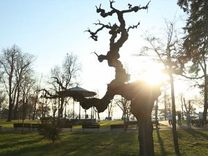 У ходу - Иза кулиса