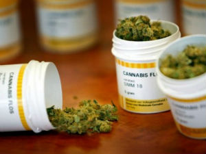 Промена закона, па легализација канабиса као лека