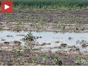 Колико ће падавине утицати на пролећне радове