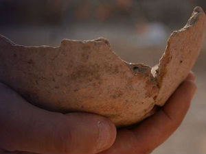 Пивопије од пре 5.000 година