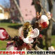 Гледаоци репортери (30. март 2015)