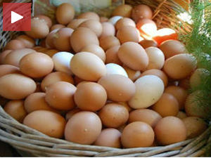 Органска јаја на цени