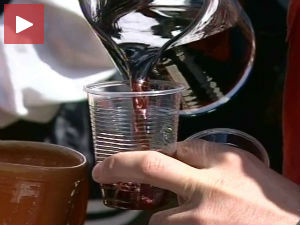 Домаће сорте за промоцију српских винарија