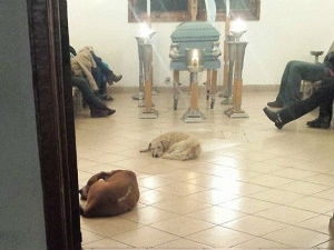 Пси луталице одали почаст жени која их је хранила