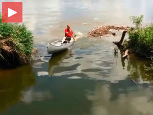 Краљ рибара