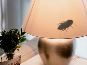 Будите спремни за 1. април!