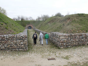Лопови набасали на боце са бојним отровом из Првог светског рата